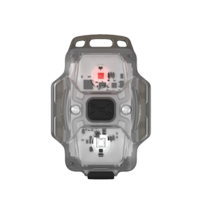 Armytek Crystal (белый и красный свет)