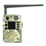 Фотоловушка Teltos BG310 M