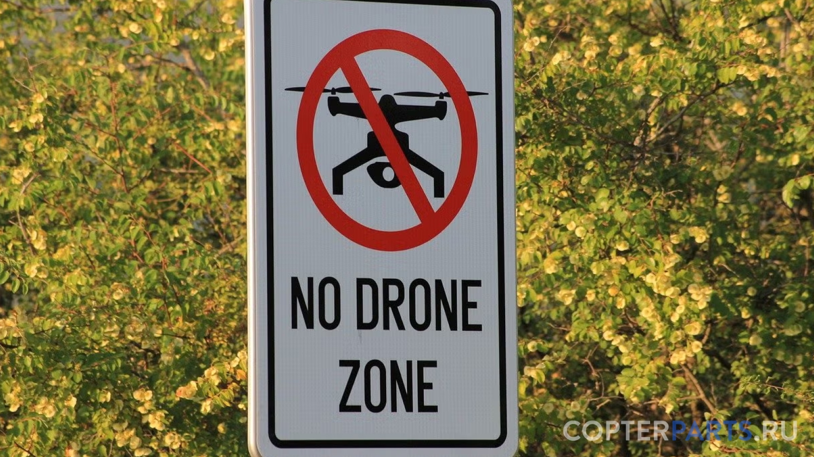 Системы обхода запретных зон