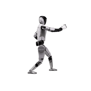 Человекоподобный робот Robotera STAR 1