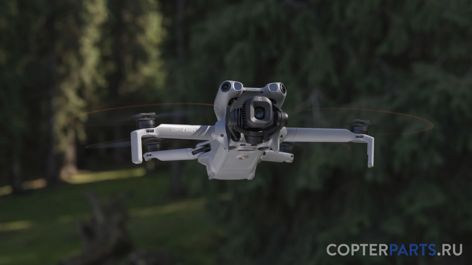 бренд DJI