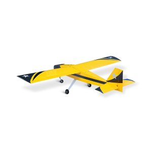 Дрон самолётного типа Skyeye 50cc