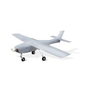 Дрон самолётного типа Skyeye 2900MM