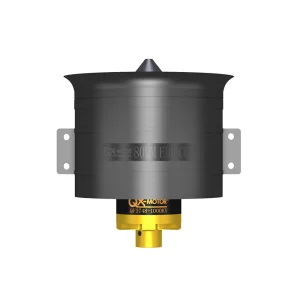 Двигатель QX-Motor QF3748 1000KV